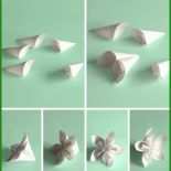 3d Blume Basteln Vorlage