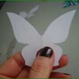 3d Schmetterling Basteln Vorlage