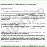 Abmahnung Kündigung Mietvertrag Muster
