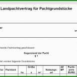 Ackerland Pachtvertrag Muster