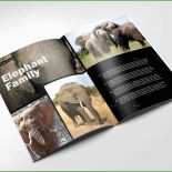 Adobe Flyer Vorlagen