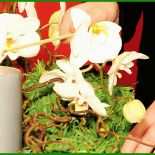 Adresse Kondolenzschreiben