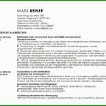 Analyse Englisch Muster
