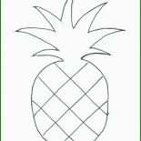 Ananas Blätter Basteln Vorlage 3 Ananas Blätter Basteln Vorlage