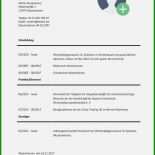 Arbeitsvertrag Integrationshelfer Muster