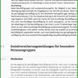 Arbeitsvertrag Koch Muster