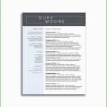 Arbeitsvertrag Muster 450 Euro Basis