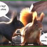 Arbeitsvertrag Verschwiegenheitsklausel Muster 4 Arbeitsvertrag Verschwiegenheitsklausel Muster