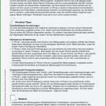 Arbeitsvertrag Vertrauensarbeitszeit Muster