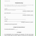 Arbeitsvertrag Vwl Muster