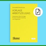Arbeitszeugnis 2017 Vorlage