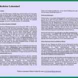 Arbeitszeugnis Babysitter Muster