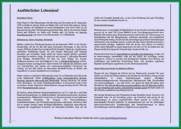 Arbeitszeugnis Babysitter Muster
