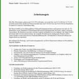 Arbeitszeugnis Cfo Muster