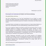 Arbeitszeugnis Freie Mitarbeiter Muster