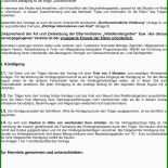 Arbeitszeugnis Lehrling Muster