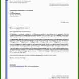 Arbeitszeugnis Muster Koch