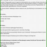 Arbeitszeugnis Pflegedienstleitung Muster