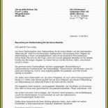 Arbeitszeugnis Teamleiter Muster