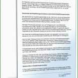 Arbeitszeugnis Webentwickler Muster