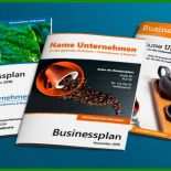 Auxmoney Businessplan Vorlage
