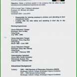 Babysitter Steckbrief Vorlage