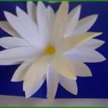 Basteln Vorlagen Blumen