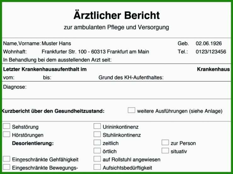 Bericht Des Kassenprüfers Vorlage