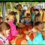 Bericht Kassenprüfung Verein Muster