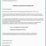 Bericht Kassenprüfung Verein Vorlage