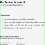 Berliner Testament Muster Patchworkfamilie