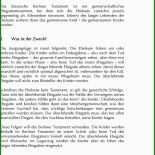 Berliner Testament Stiefkinder Muster 3 Berliner Testament Stiefkinder Muster