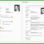 Bewerbung Praktikum 8 Klasse Vorlage