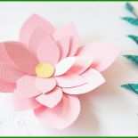 Blume Aus Papier Basteln Vorlage 8 Blume Aus Papier Basteln Vorlage