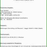 Bors Bericht Muster