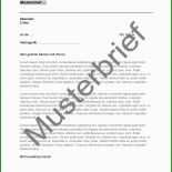 Brief An Die Familienkasse Muster