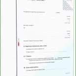 Brief An Finanzamt Muster