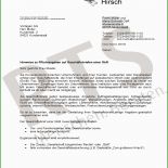 Brief An Gericht Muster