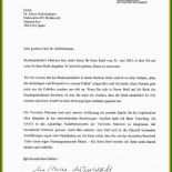 Brief An Politiker Muster