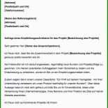 Brief An Professor Muster