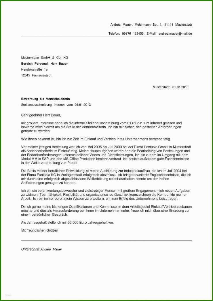 Brief Ans Amtsgericht Vorlage