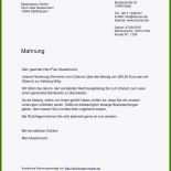 Brief Auf Spanisch Vorlage