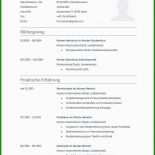 Brief Bewerbung Vorlage