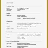 Brief Din 5008 Vorlage Kostenlos Word 9 Brief Din 5008 Vorlage Kostenlos Word