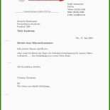 Brief Finanzamt Vorlage