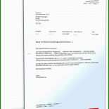 Brief Muster Finanzamt