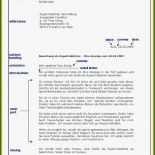 Brief Schreiben Muster Pdf