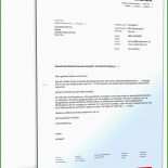 Brief Von Der Zahnfee Vorlage