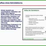 Buch Handout Vorlage 5 Buch Handout Vorlage