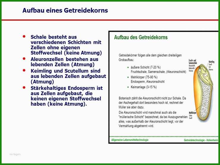Buch Handout Vorlage